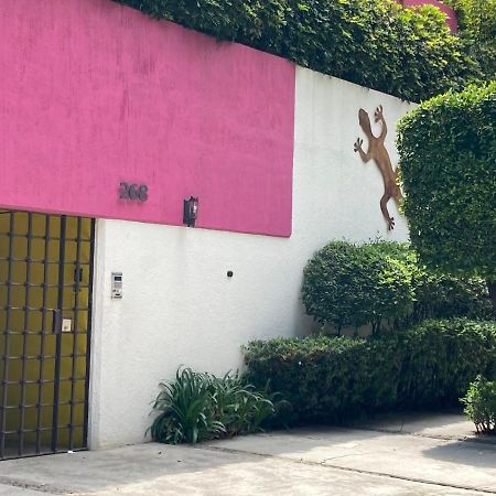 Hostal Cuija Coyoacan Berlin 268 Coyoacan เม็กซิโกซิตี้ ภายนอก รูปภาพ