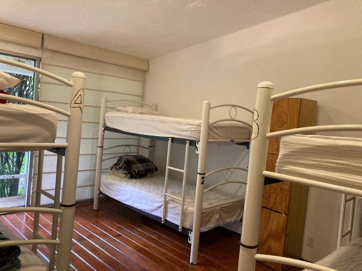 Hostal Cuija Coyoacan Berlin 268 Coyoacan เม็กซิโกซิตี้ ภายนอก รูปภาพ