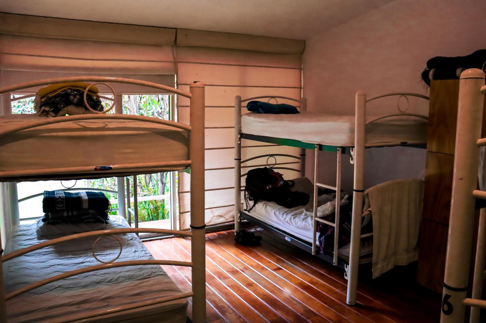 Hostal Cuija Coyoacan Berlin 268 Coyoacan เม็กซิโกซิตี้ ภายนอก รูปภาพ