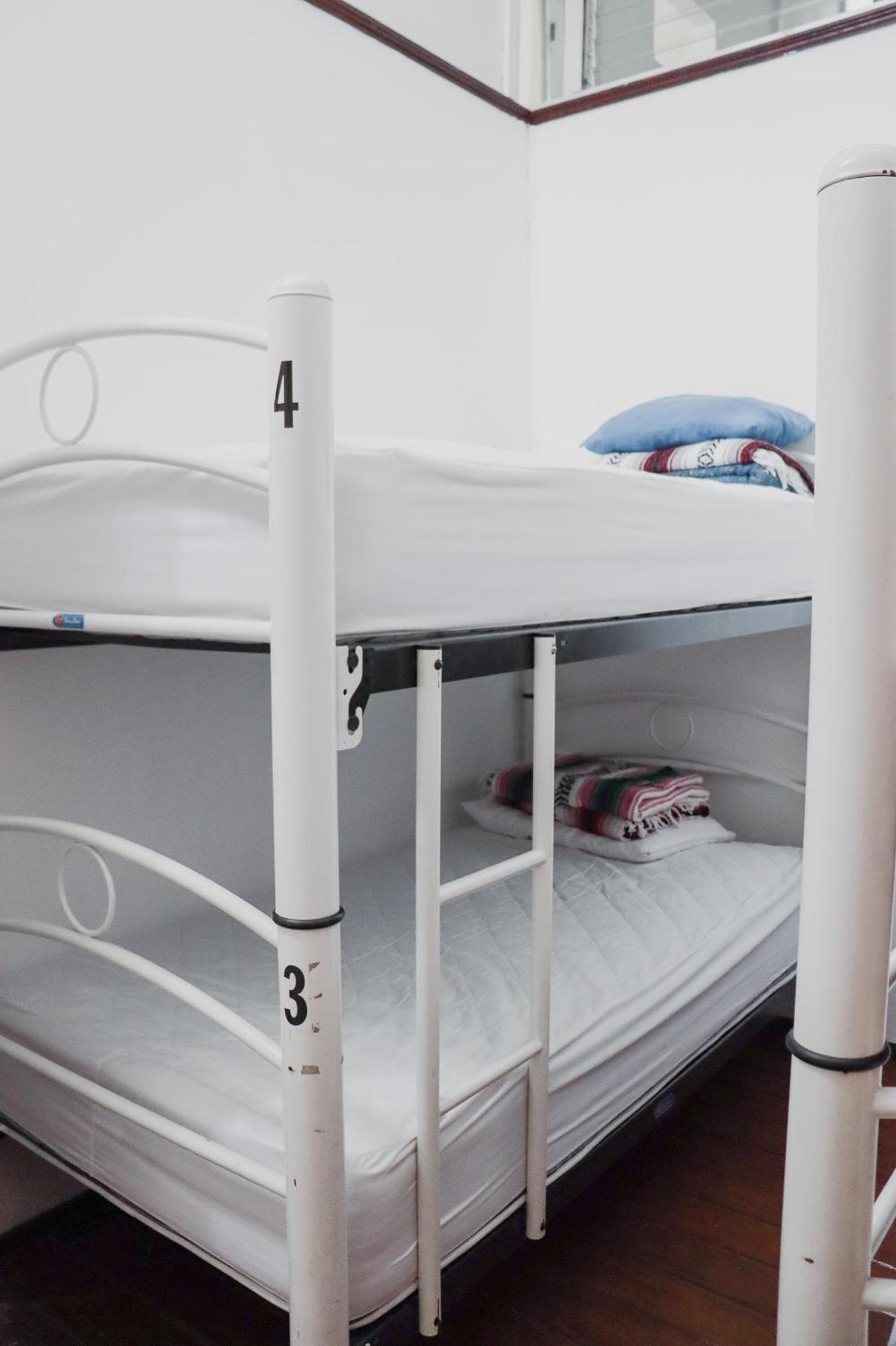 Hostal Cuija Coyoacan Berlin 268 Coyoacan เม็กซิโกซิตี้ ภายนอก รูปภาพ