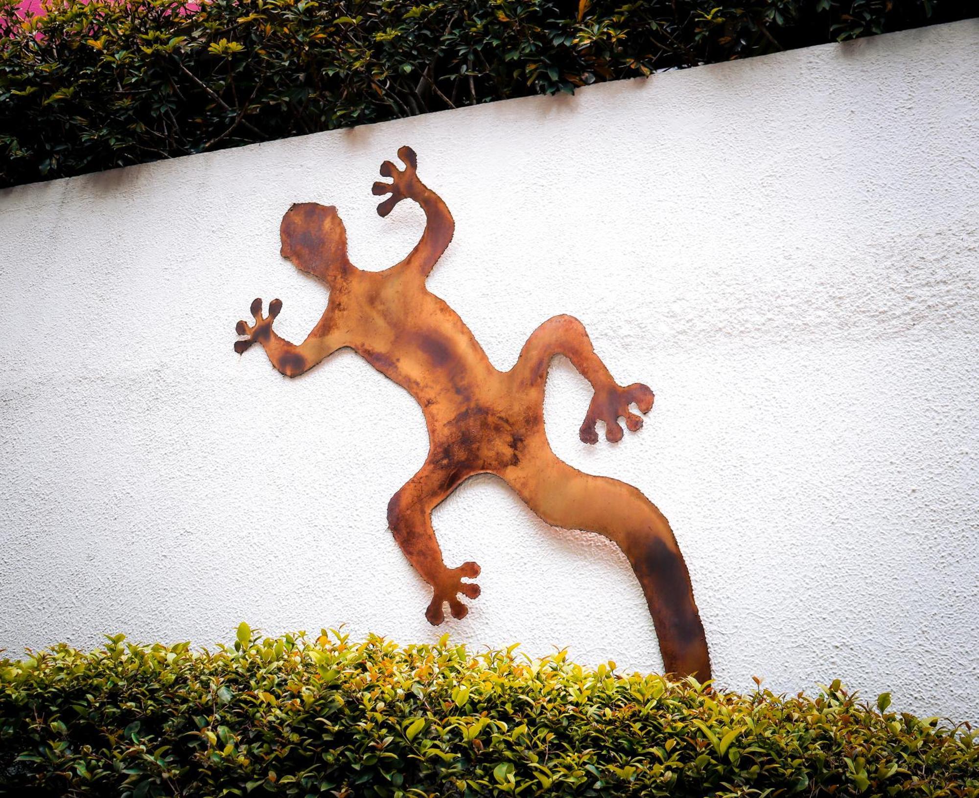 Hostal Cuija Coyoacan Berlin 268 Coyoacan เม็กซิโกซิตี้ ภายนอก รูปภาพ