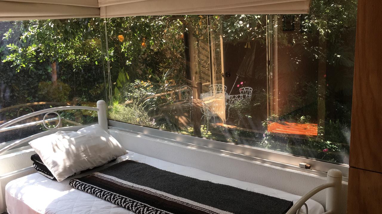 Hostal Cuija Coyoacan Berlin 268 Coyoacan เม็กซิโกซิตี้ ภายนอก รูปภาพ