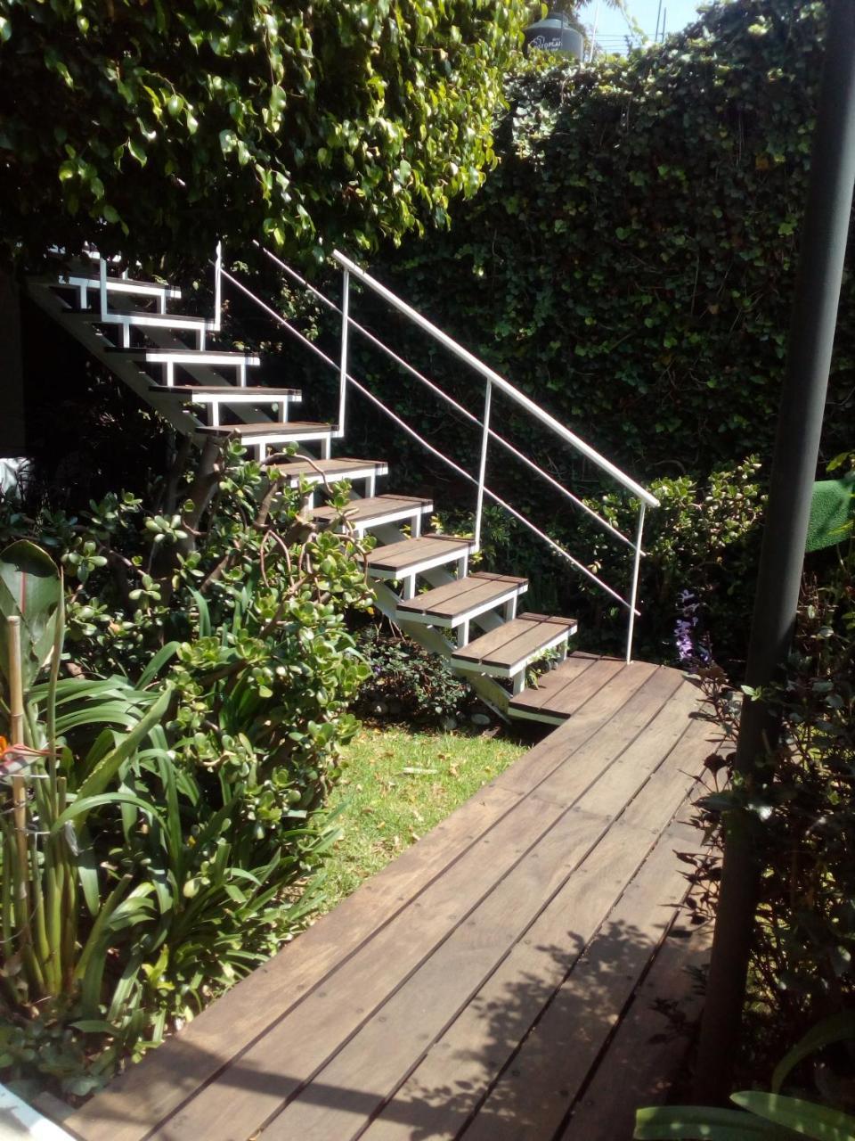 Hostal Cuija Coyoacan Berlin 268 Coyoacan เม็กซิโกซิตี้ ภายนอก รูปภาพ
